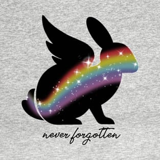 Never Forgotten Past that Rainbow Bridge T-Shirt